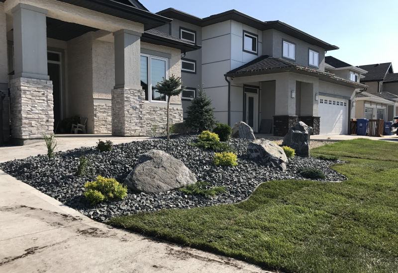 Rock garden with assorted plants and shrubs